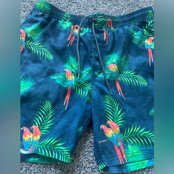 Rip Curl Men’s Swim trunks board Shorts Green Palm & Multicolor Parrot Print lrg - Picture 2 of 7